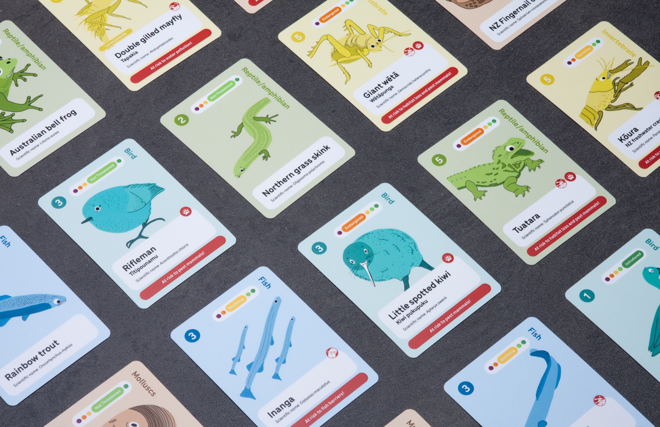 Custom playing cards printed in Wellington for branded games, training tools and promotional campaigns. Custom playing cards printed in Wellington for branded games, training tools and promotional campaigns.