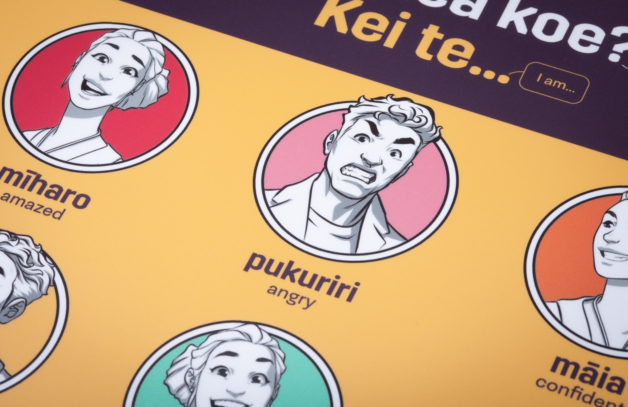 Bringing Te Reo Māori to Life: Printed Paylite Panels for the Māori Language Commission