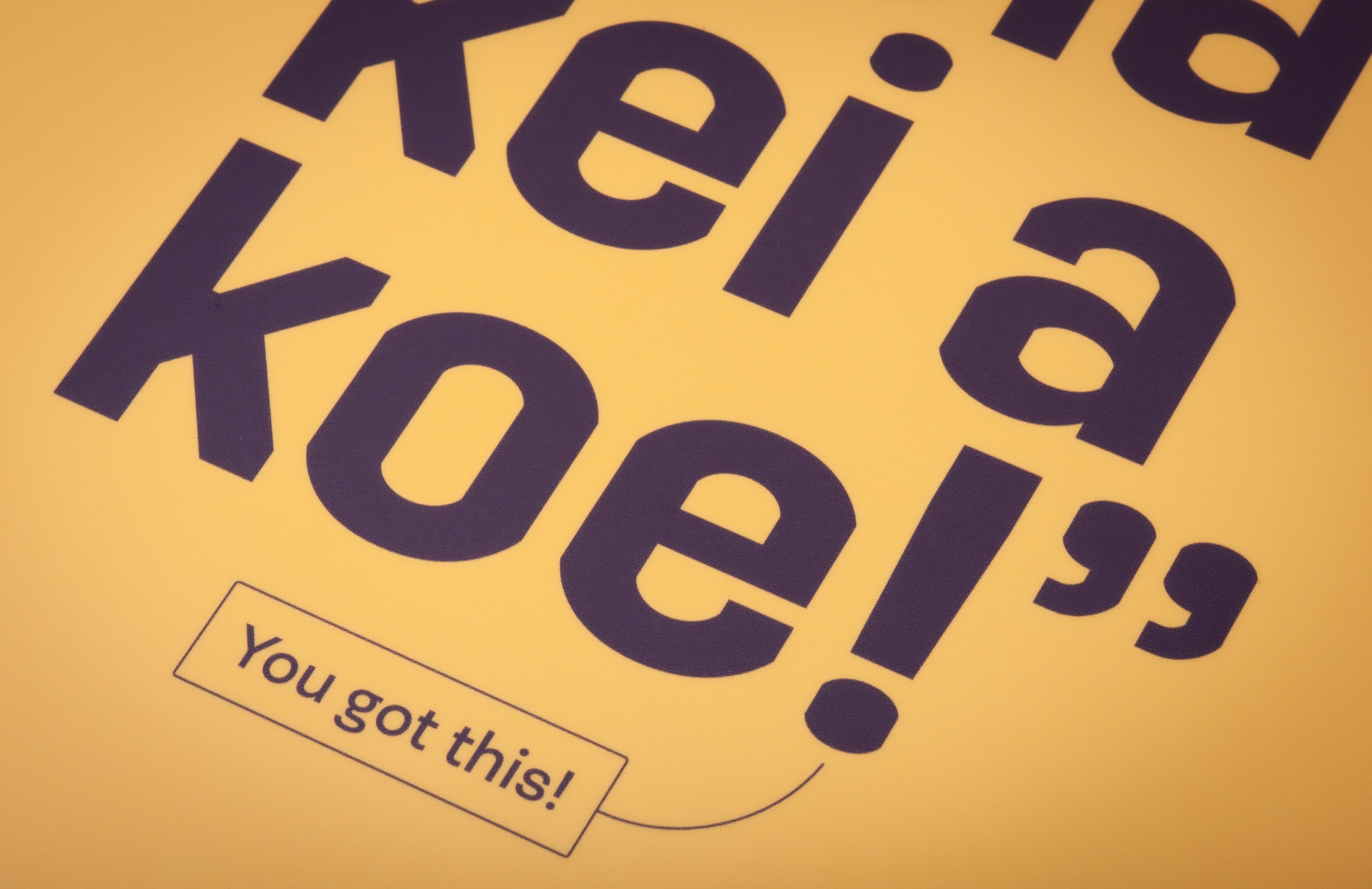 Bringing Te Reo Māori to Life: Printed Paylite Panels for the Māori Language Commission